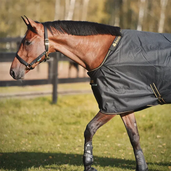 Bucas Irish Turnout 100 gram overgangsdeken